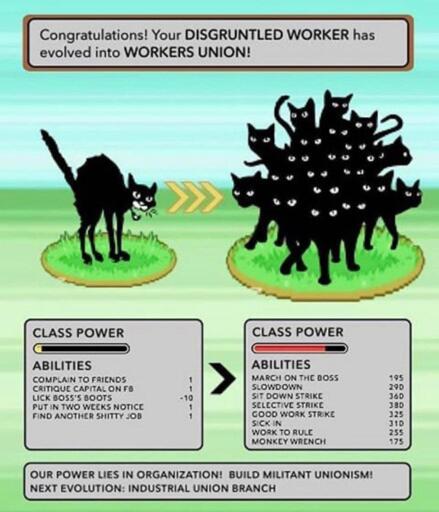 Meme about a disgruntled worker evolving into a workers union, Pokemon style.