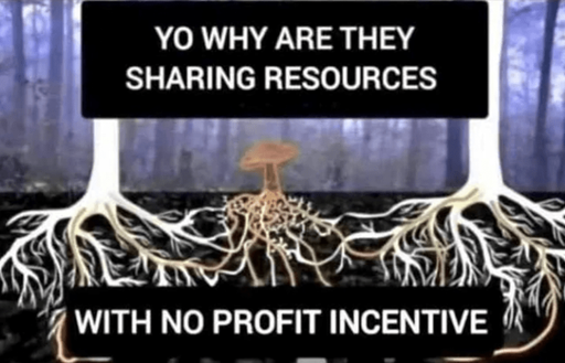"Yo why are they sharing resources" "with no profit incentive" Picture of trees and mushroom with root system connections.